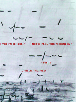 cover image of Notes from the Passenger